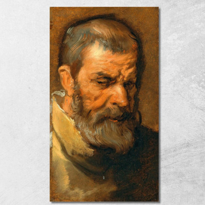 Testa Di Un Uomo Barbuto Anthony van Dyck avd30 quadro stampato su tela