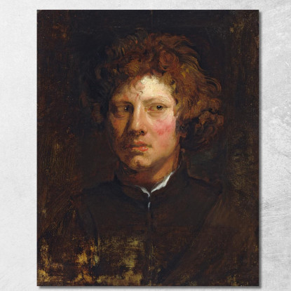 Testa Di Giovane Anthony van Dyck avd31 quadro stampato su tela