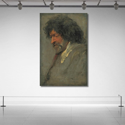 Studio Capo Di Un Uomo Anthony van Dyck avd34 quadro stampato su tela