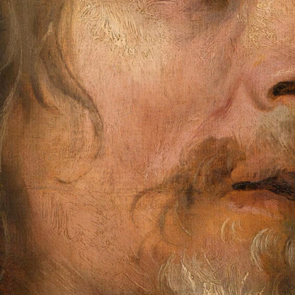 Studio Del Ritratto Di Un Uomo Barbuto Anthony van Dyck avd89 quadro stampato su tela