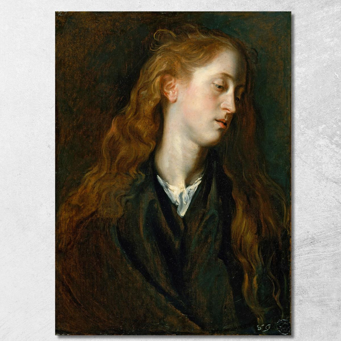 Testa Di Studio Di Una Giovane Donna Anthony van Dyck avd105 quadro stampato su tela