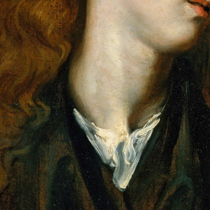 Testa Di Studio Di Una Giovane Donna Anthony van Dyck avd105 quadro stampato su tela