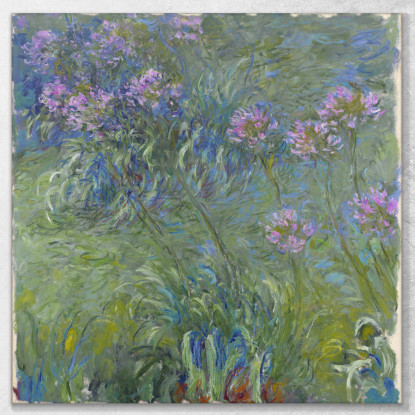 Fiori Di Agapanto Claude Monet mnt2 quadro stampato su tela