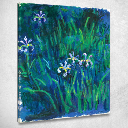 Iris 1914 Claude Monet mnt33 quadro stampato su tela