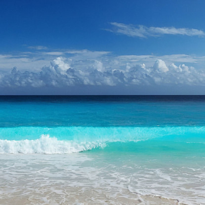 Quadro Paesaggio Mare Onde Turchesi Su Spiaggia Di Sabbia seal1 quadro stampato su tela