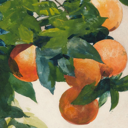 Oranges On A Branch Winslow Homer canvas print