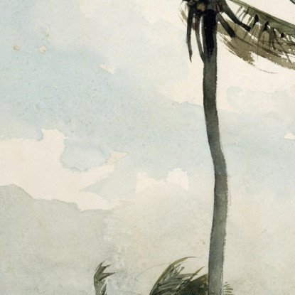 Palma Nassau Winslow Homer quadro stampato su tela