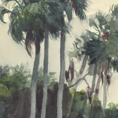 Red Shirt Homosassa Florida Winslow Homer canvas print