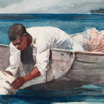 Der Wasser-Fan Winslow Homer drucken auf leinwand