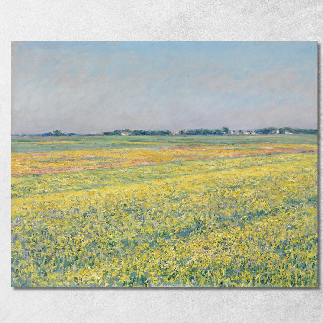 La Pianura Dei Campi Gialli Di Gennevilliers Gustave Caillebotte gcl30 quadro stampato su tela