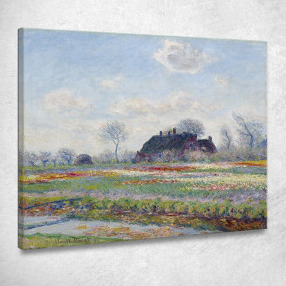 Campi Di Tulipani A Sassenheim 1886 Claude Monet mnt229 quadro stampato su tela