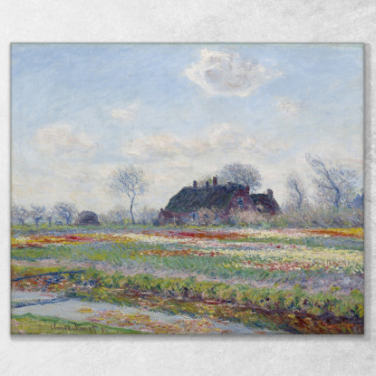 Campi Di Tulipani A Sassenheim 1886 Claude Monet mnt229 quadro stampato su tela