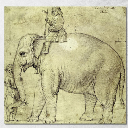 L'Elefante Annone Raffaello Sanzio rph39 quadro stampato su tela