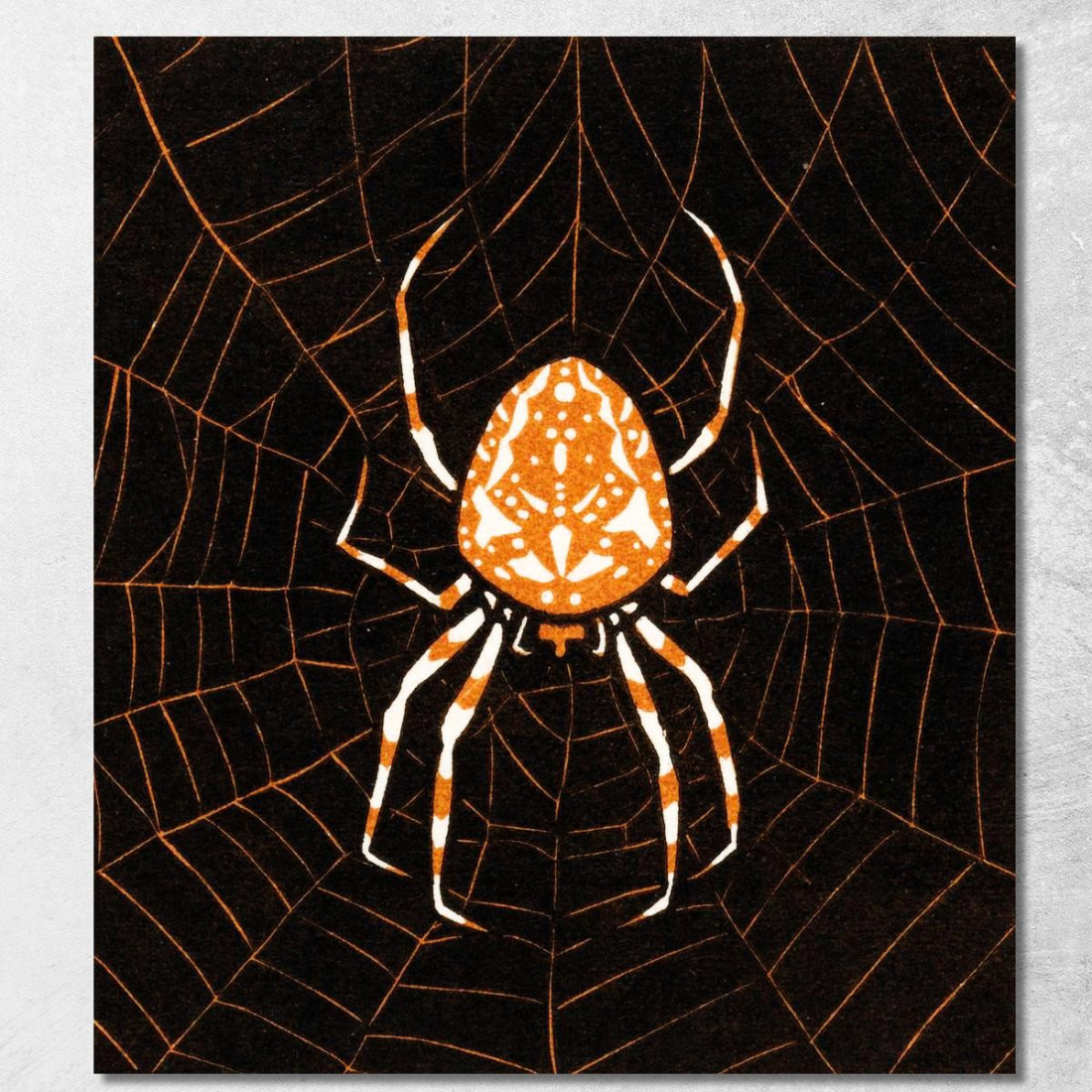 Ragno In Una Rete Julie de Graag jdg55 quadro stampato su tela