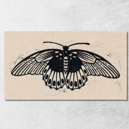 Farfalla Julie de Graag jdg69 quadro stampato su tela