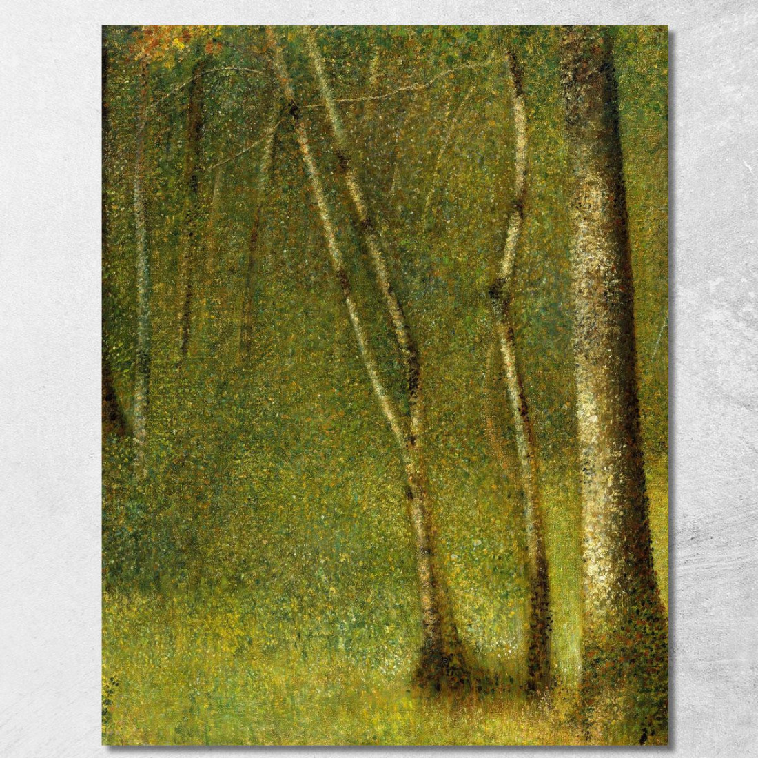 La Foresta Di Pontaubert Georges Seurat gsr70 quadro stampato su tela