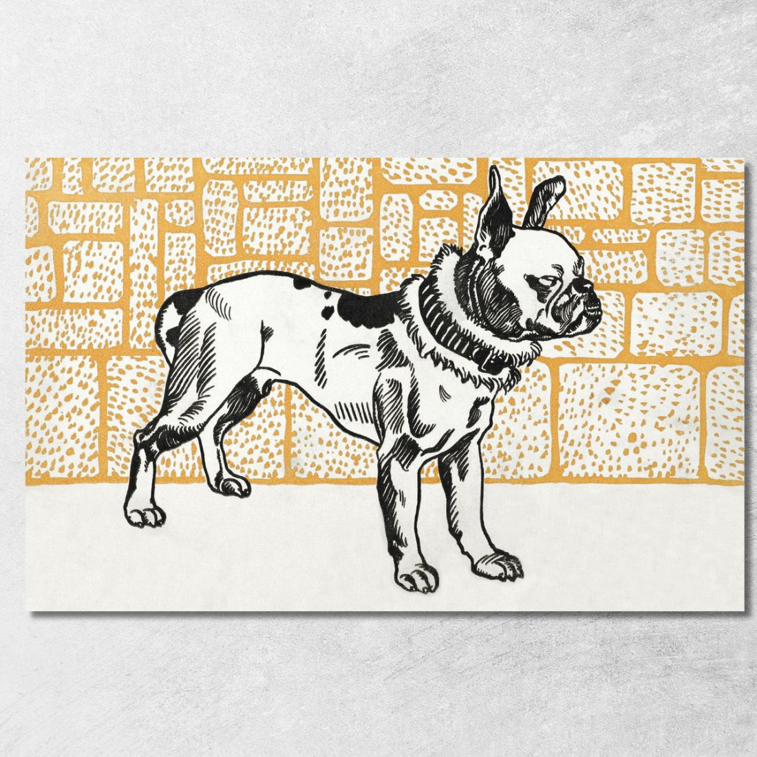 Pitbull Terrier Moriz Jung mjn21 quadro stampato su tela