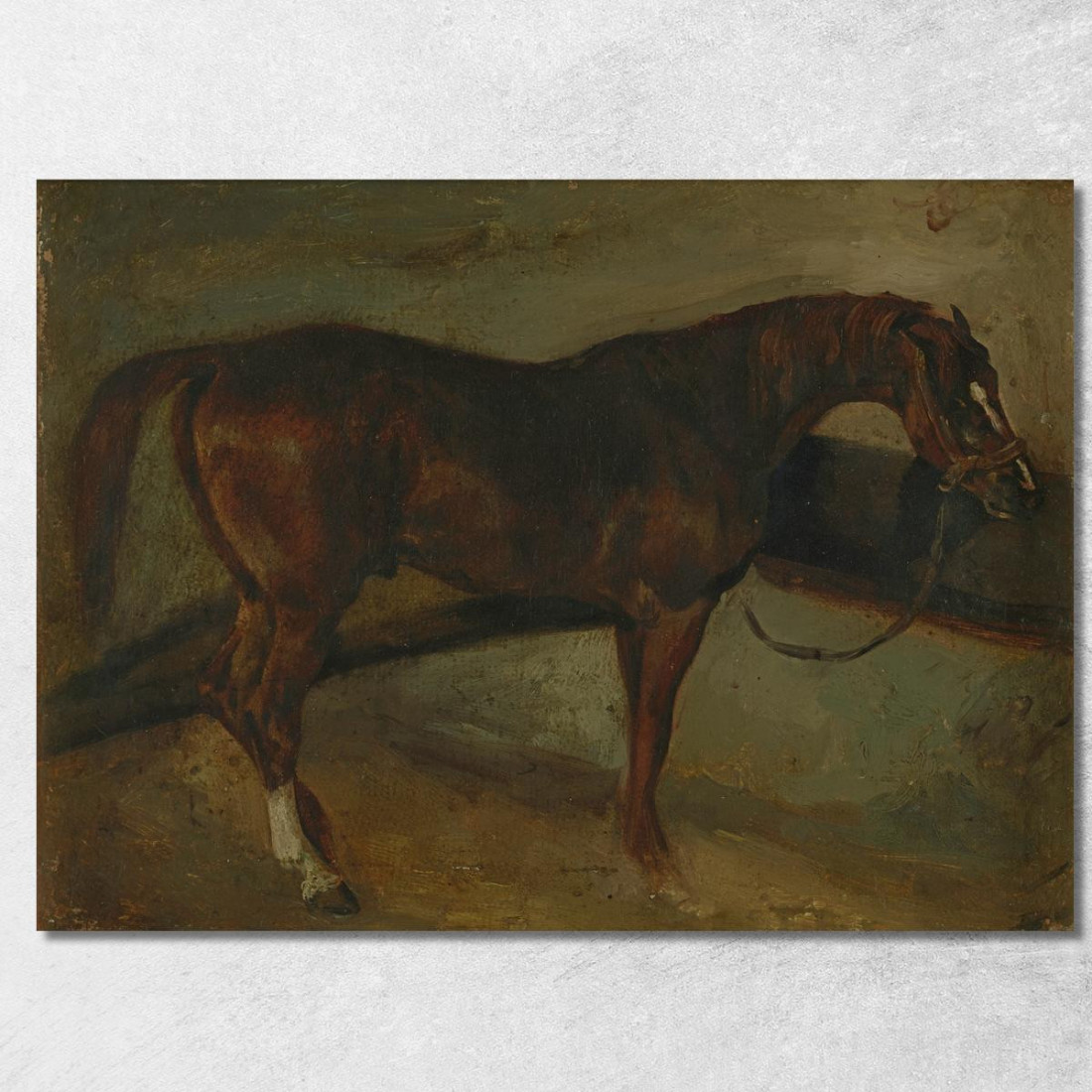Cavallo Marrone Théodore Géricault tgr5 quadro stampato su tela