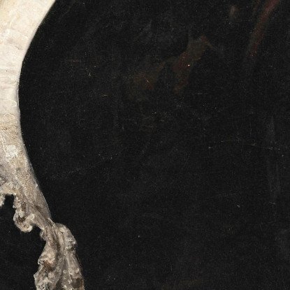 Ritratto Della Cantante Matilde Juva Branca Francesco Hayez fhy13 quadro stampato su tela