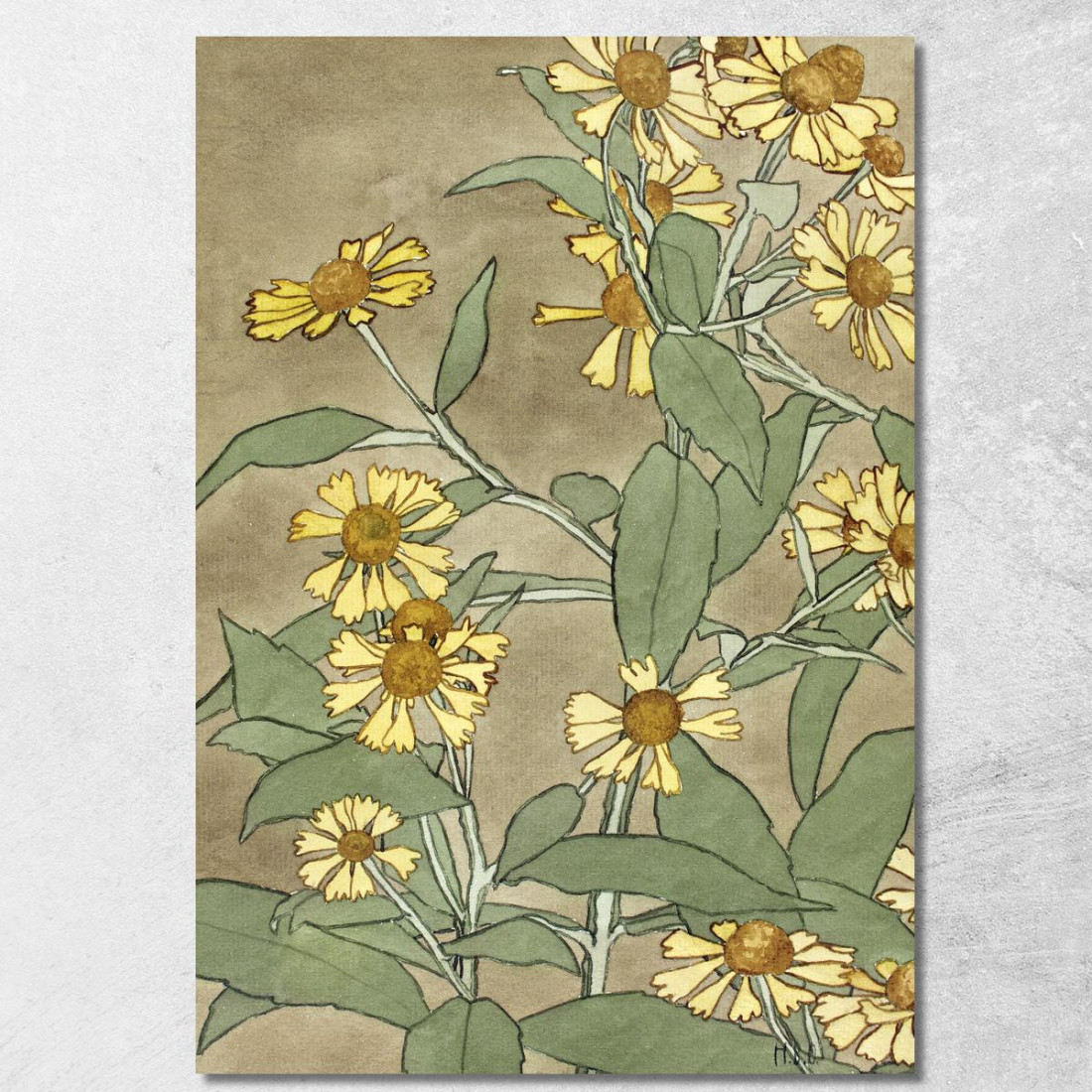 Margherite Con Centro Arancione E Petali Gialli Hannah Borger Overbeck hbo7 quadro stampato su tela