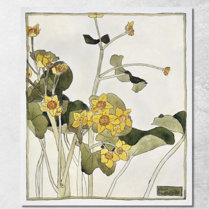 Calendula Palustre Hannah Borger Overbeck hbo11 quadro stampato su tela