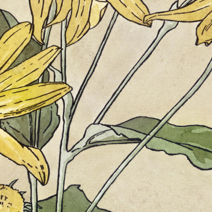 Girasoli Hannah Borger Overbeck hbo17 quadro stampato su tela