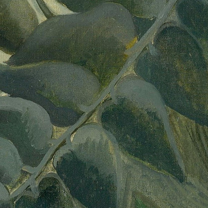 La Giungla Equatoriale Henri Rousseau hrs32 quadro stampato su tela