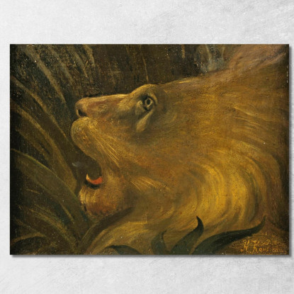 Testa Di Leone Henri Rousseau hrs45 quadro stampato su tela