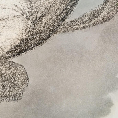 Flora Dispensa I Suoi Favori Sulla Terra Dal Tempio Di Flora Robert John Thornton rjt6 quadro stampato su tela