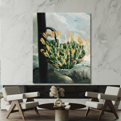 L'Aloe Del Tempio Di Flora Robert John Thornton rjt13 quadro stampato su tela