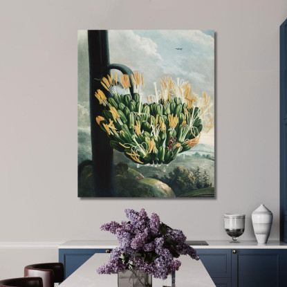 L'Aloe Del Tempio Di Flora Robert John Thornton rjt13 quadro stampato su tela