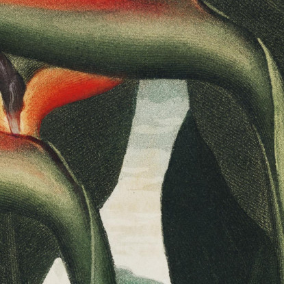 La Pianta Regina Del Tempio Di Flora Robert John Thornton rjt28 quadro stampato su tela