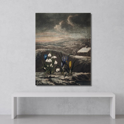 I Bucaneve Del Tempio Di Flora Robert John Thornton rjt30 quadro stampato su tela