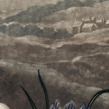 I Bucaneve Del Tempio Di Flora Robert John Thornton rjt30 quadro stampato su tela