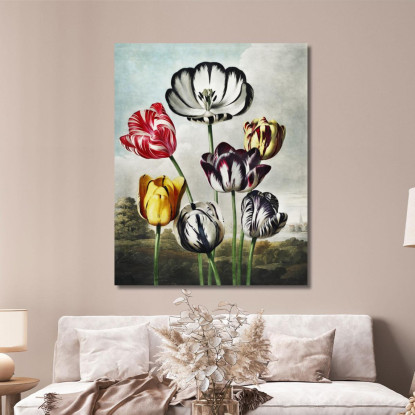 Tulipani Dal Tempio Di Flora Robert John Thornton rjt33 quadro stampato su tela