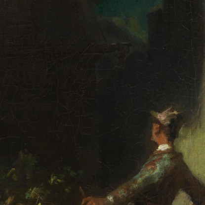 Il Violinista Al Chiaro Di Luna Carl Spitzweg csp14 quadro stampato su tela