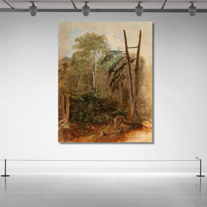 Studio Di Un Paesaggio Boschivo Carl Spitzweg csp53 quadro stampato su tela