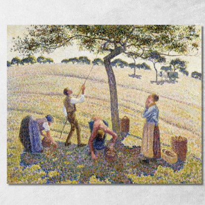 Raccolta Delle Mele 1888 Originale Dal Dal Camille Pissarro cps9 quadro stampato su tela
