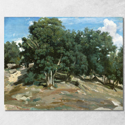 Querce Di Fontainebleau A Bas-Bréau Camille Pissarro cps26 quadro stampato su tela
