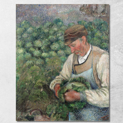 Il Giardiniere - Vecchio Contadino Con Cavolo 1883-1895 Camille Pissarro cps79 quadro stampato su tela