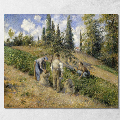 La Vendemmia Pontoise 1881 Camille Pissarro cps82 quadro stampato su tela